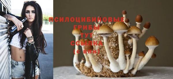 spice Белокуриха