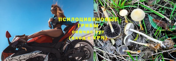 крисы Балахна